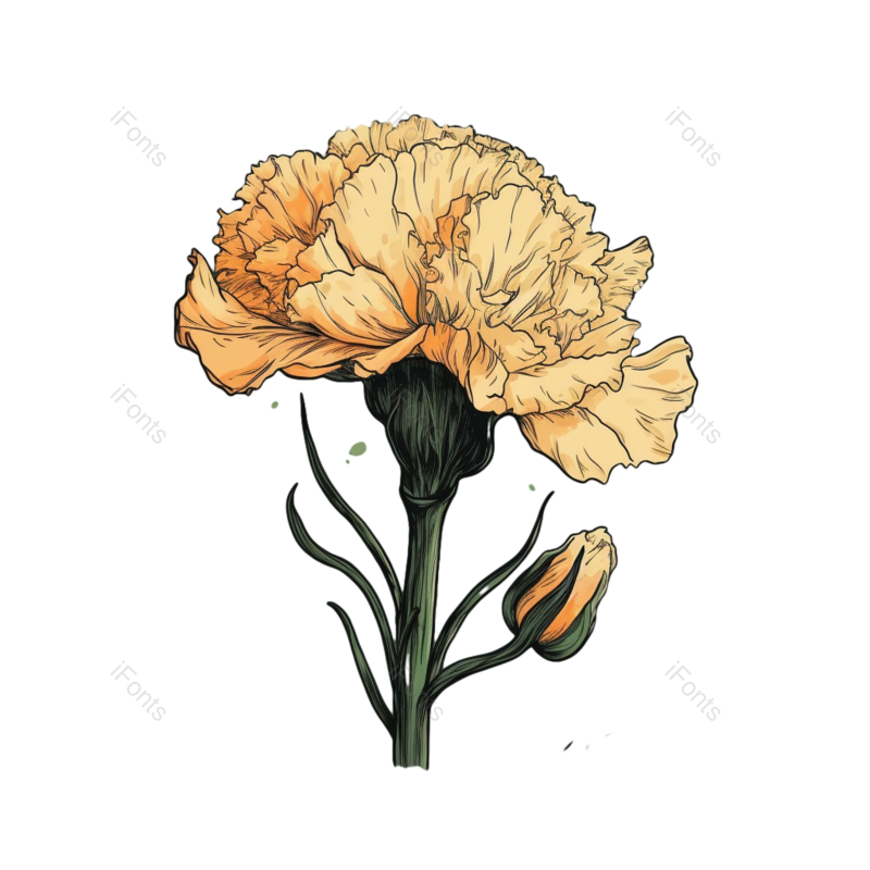 插画图片,元素,PNG,免抠素材